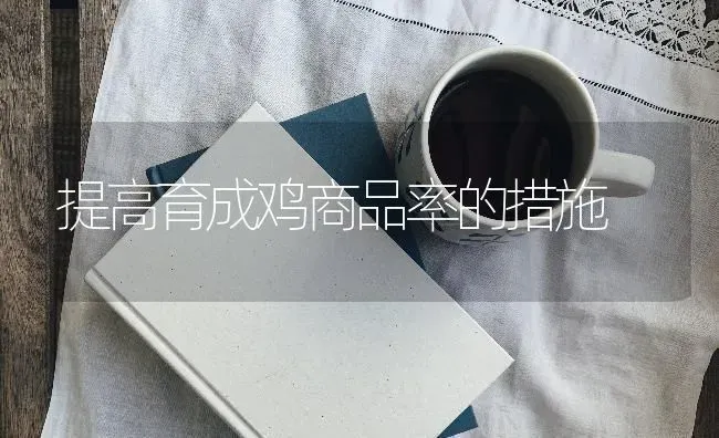 提高育成鸡商品率的措施 | 家禽养殖