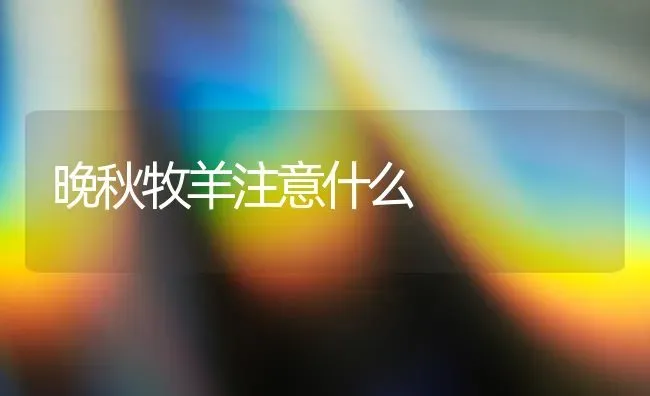晚秋牧羊注意什么 | 家畜养殖