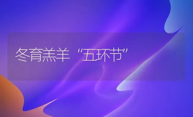 冬育羔羊“五环节” | 家畜养殖