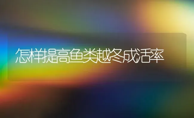 怎样提高鱼类越冬成活率 | 特种养殖