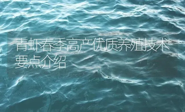 青虾春季高产优质养殖技术要点介绍 | 海水养殖