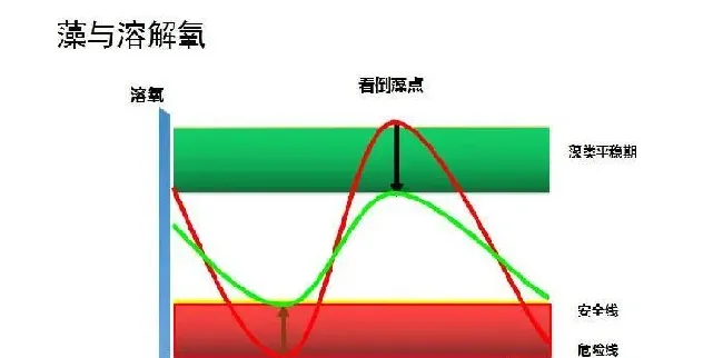 藻类管理是水产养殖关键因素