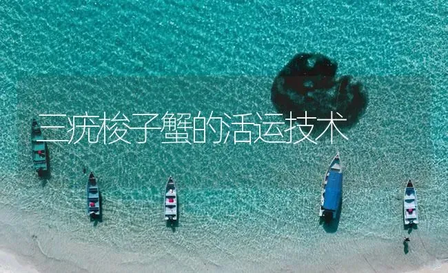 三疣梭子蟹的活运技术 | 海水养殖