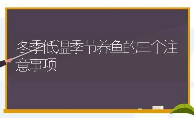 冬季低温季节养鱼的三个注意事项 | 动物养殖百科