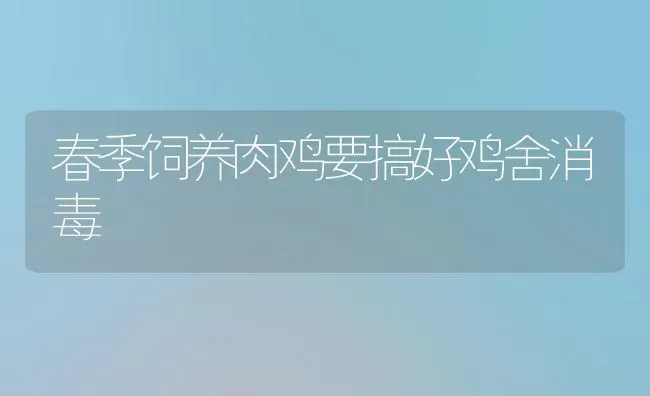 春季饲养肉鸡要搞好鸡舍消毒 | 家禽养殖