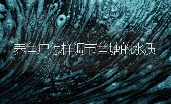 养鱼户怎样调节鱼塘的水质 | 动物养殖百科