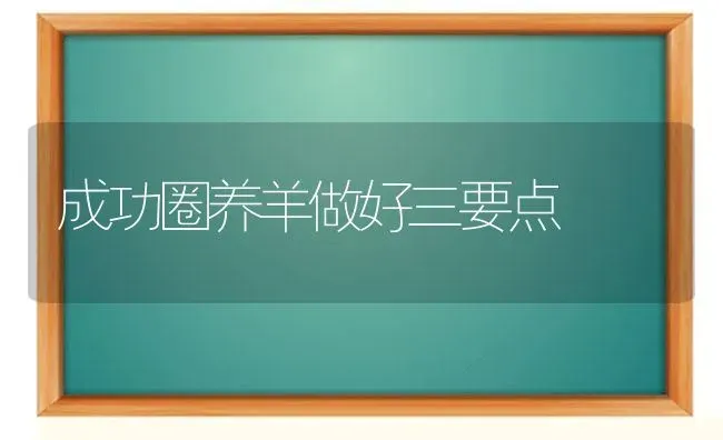 成功圈养羊做好三要点 | 家畜养殖