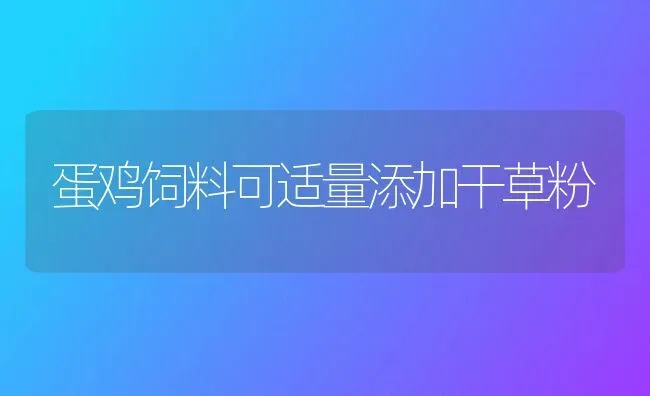 蛋鸡饲料可适量添加干草粉 | 家禽养殖