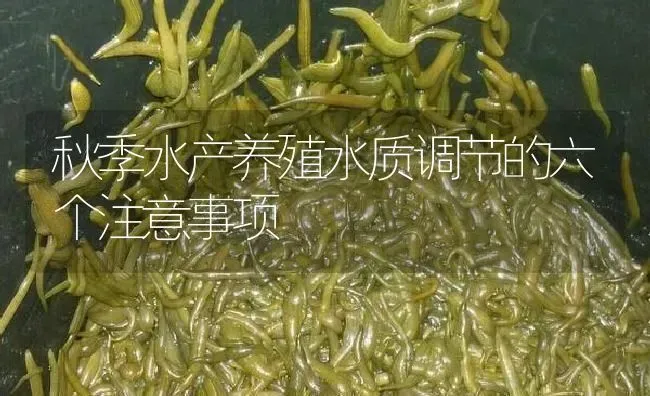 秋季水产养殖水质调节的六个注意事项 | 特种养殖