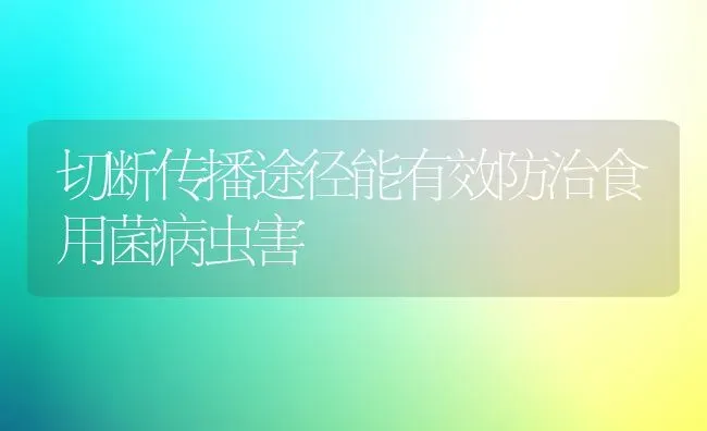 合理运筹肥水多产优质莴苣 | 淡水养殖