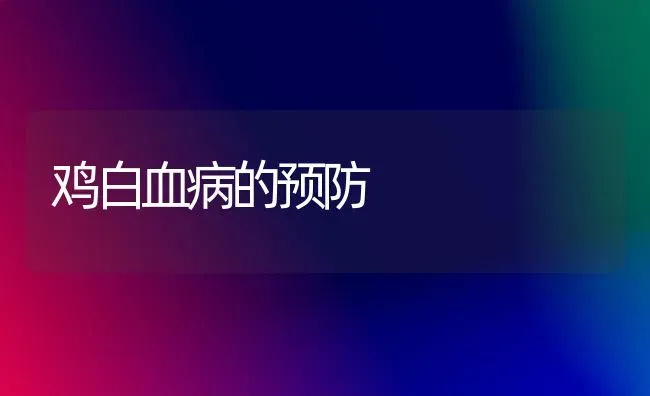 鸡白血病的预防 | 家禽养殖