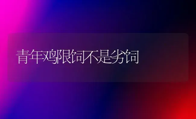 青年鸡限饲不是劣饲 | 家禽养殖