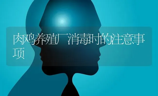 肉鸡养殖厂消毒时的注意事项 | 家禽养殖