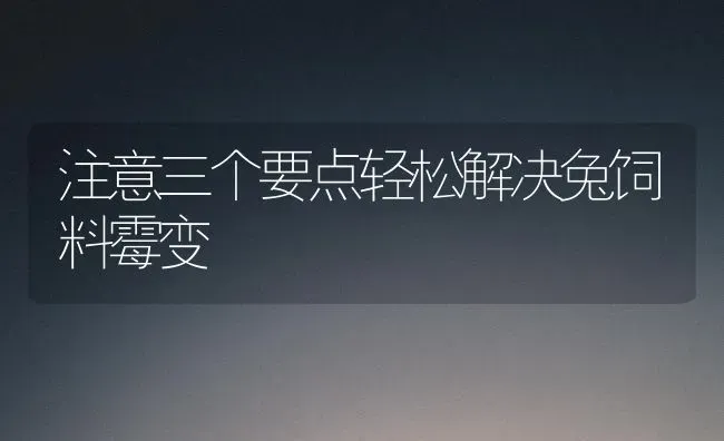 注意三个要点轻松解决兔饲料霉变 | 动物养殖饲料