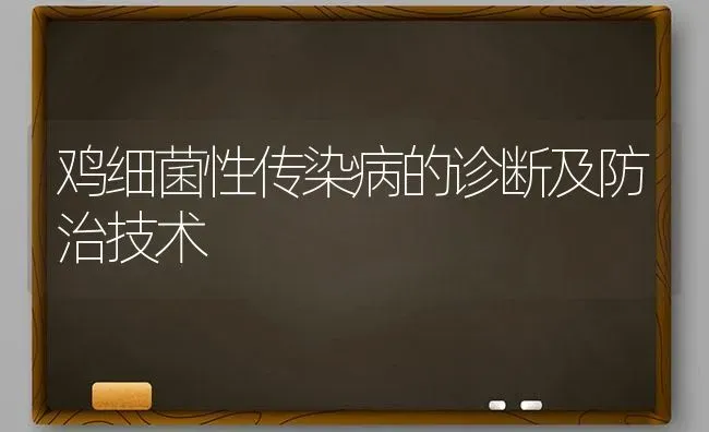 鸡细菌性传染病的诊断及防治技术 | 家禽养殖
