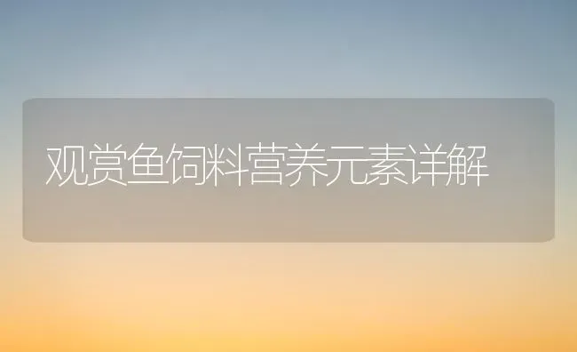 观赏鱼饲料营养元素详解 | 动物养殖饲料