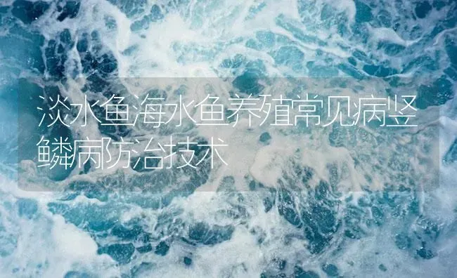 淡水鱼海水鱼养殖常见病竖鳞病防治技术 | 养殖病虫害防治