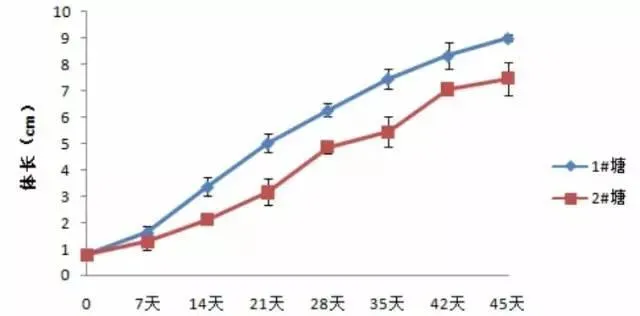 两种不同管理方法对虾生长情况的比较