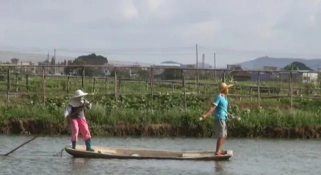 干货！掌握消毒时机到底有多重要？