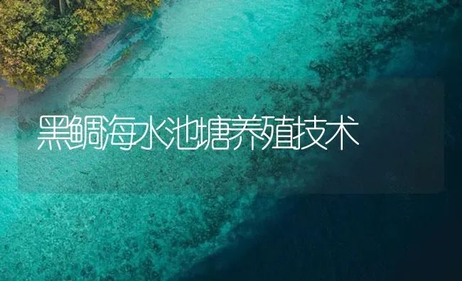 黑鲷海水池塘养殖技术 | 海水养殖