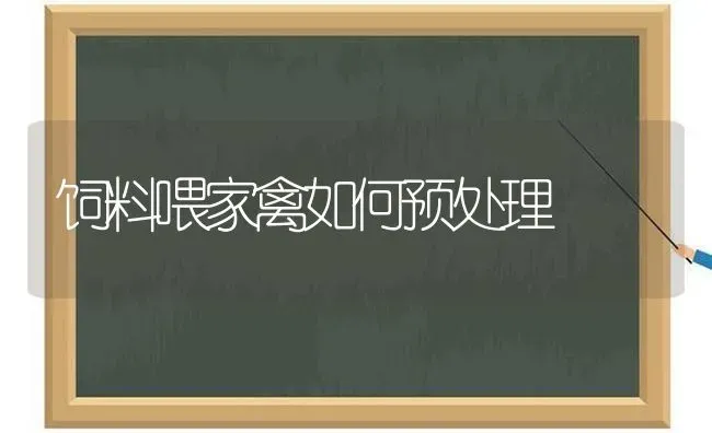 饲料喂家禽如何预处理 | 动物养殖饲料