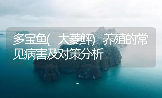 多宝鱼(大菱鲆)养殖的常见病害及对策分析 | 海水养殖