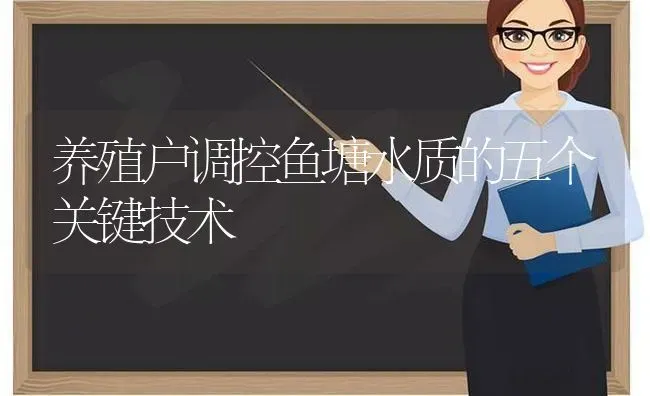 养殖户调控鱼塘水质的五个关键技术 | 动物养殖百科