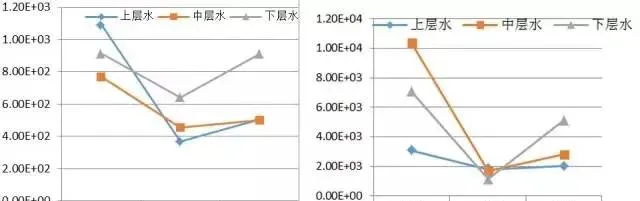 想出热水鱼又怕死鱼？请重视消毒剂的选择