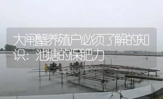 大闸蟹养殖户必须了解的知识：池塘的保肥力 | 淡水养殖