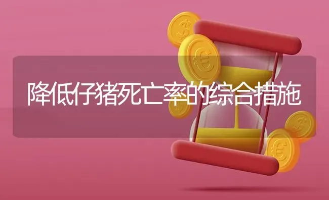 降低仔猪死亡率的综合措施 | 家畜养殖