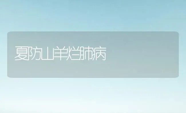 夏防山羊烂肺病 | 家畜养殖