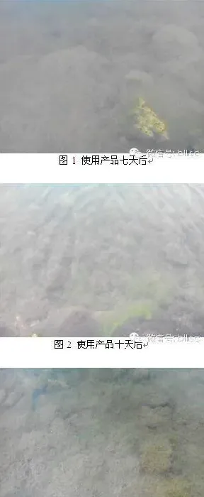 海参圈控草好搭档、调水控草二合一