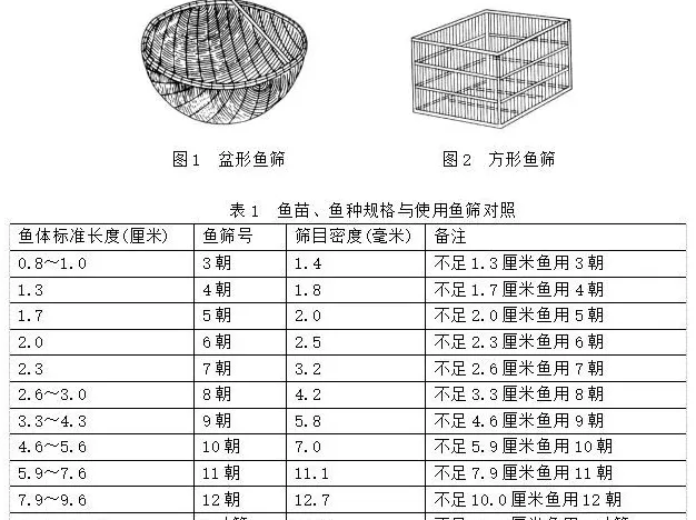 科普：鱼苗、鱼种的一些习惯名称、质量鉴别及运输方法