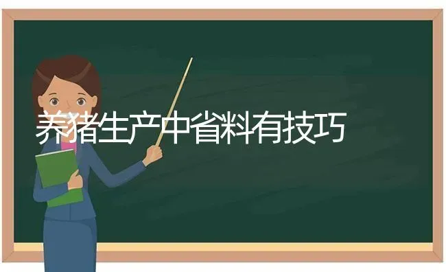 养猪生产中省料有技巧 | 家畜养殖