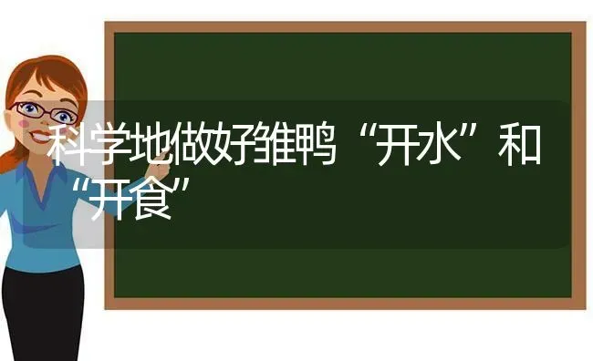 科学地做好雏鸭“开水”和“开食” | 家禽养殖