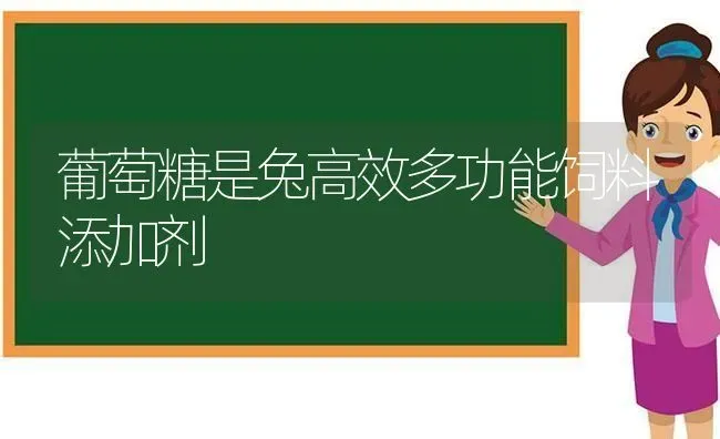 葡萄糖是兔高效多功能饲料添加剂 | 动物养殖饲料