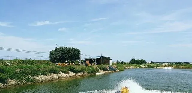 干货！掌握消毒时机到底有多重要？