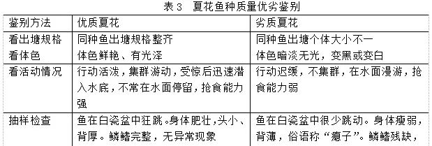 科普：鱼苗、鱼种的一些习惯名称、质量鉴别及运输方法