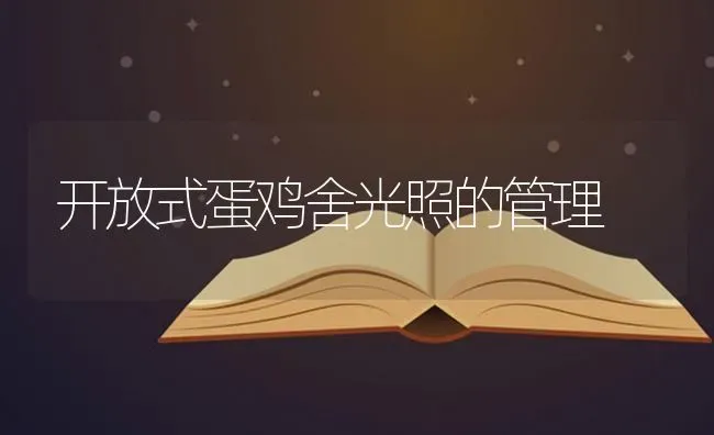 开放式蛋鸡舍光照的管理 | 家禽养殖