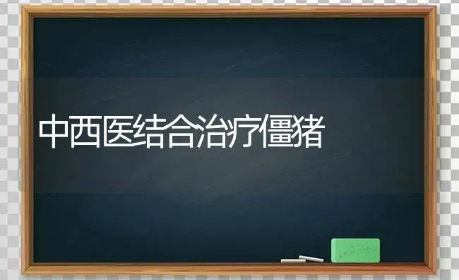 中西医结合治疗僵猪 | 家畜养殖