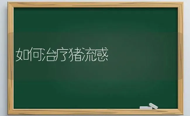 如何治疗猪流感 | 家畜养殖