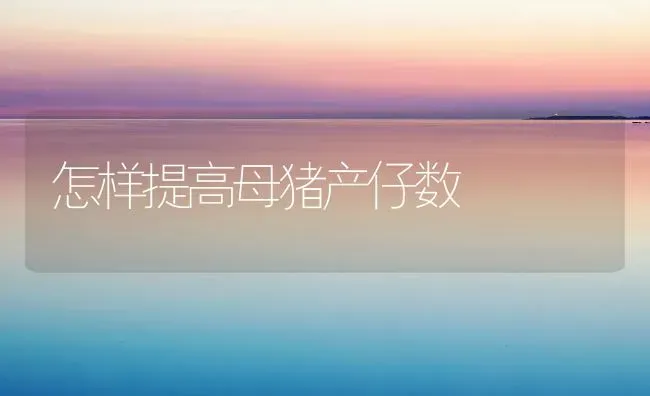 怎样提高母猪产仔数 | 家畜养殖