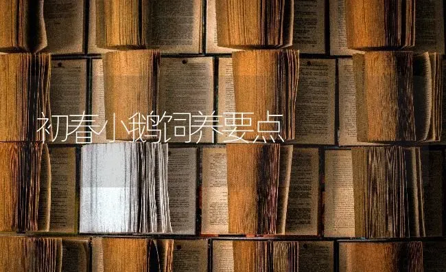初春小鹅饲养要点 | 家禽养殖