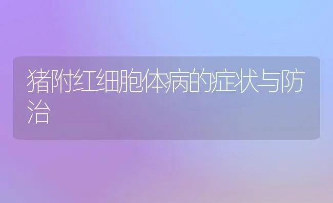 猪附红细胞体病的症状与防治 | 家畜养殖