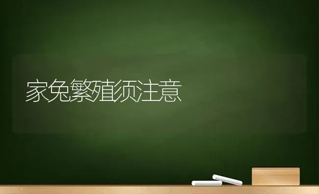 家兔繁殖须注意 | 家畜养殖