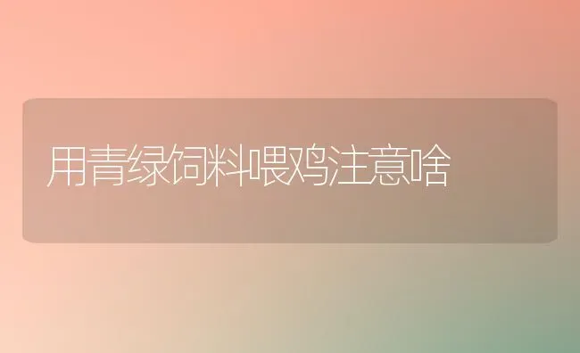 用青绿饲料喂鸡注意啥 | 家禽养殖