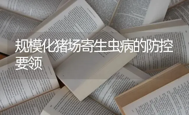规模化猪场寄生虫病的防控要领 | 家畜养殖