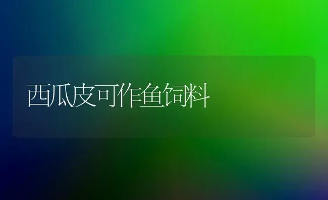 西瓜皮可作鱼饲料 | 动物养殖饲料