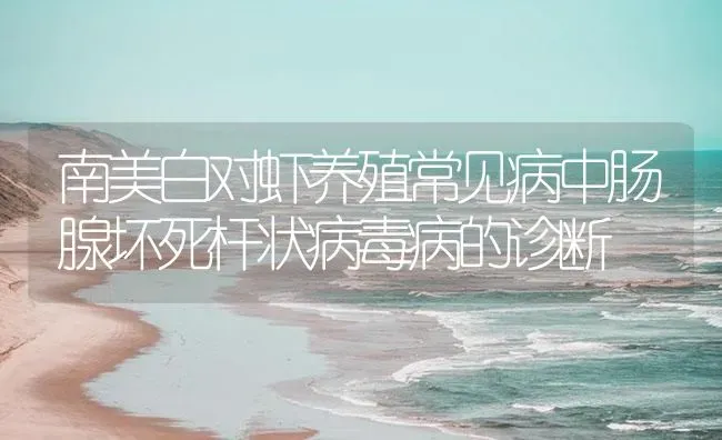 南美白对虾养殖常见病中肠腺坏死杆状病毒病的诊断 | 海水养殖