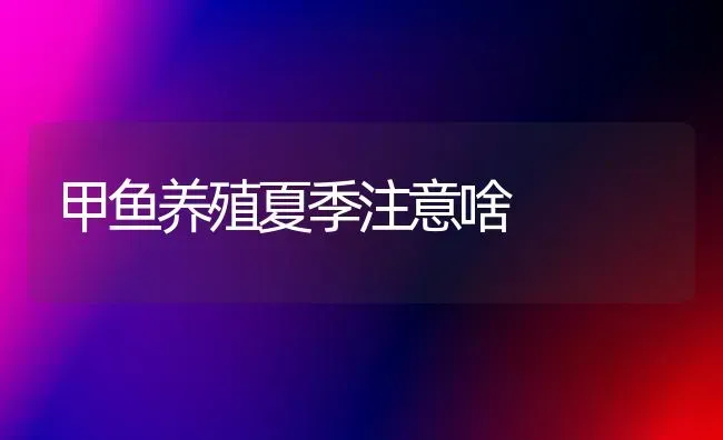 甲鱼养殖夏季注意啥 | 淡水养殖
